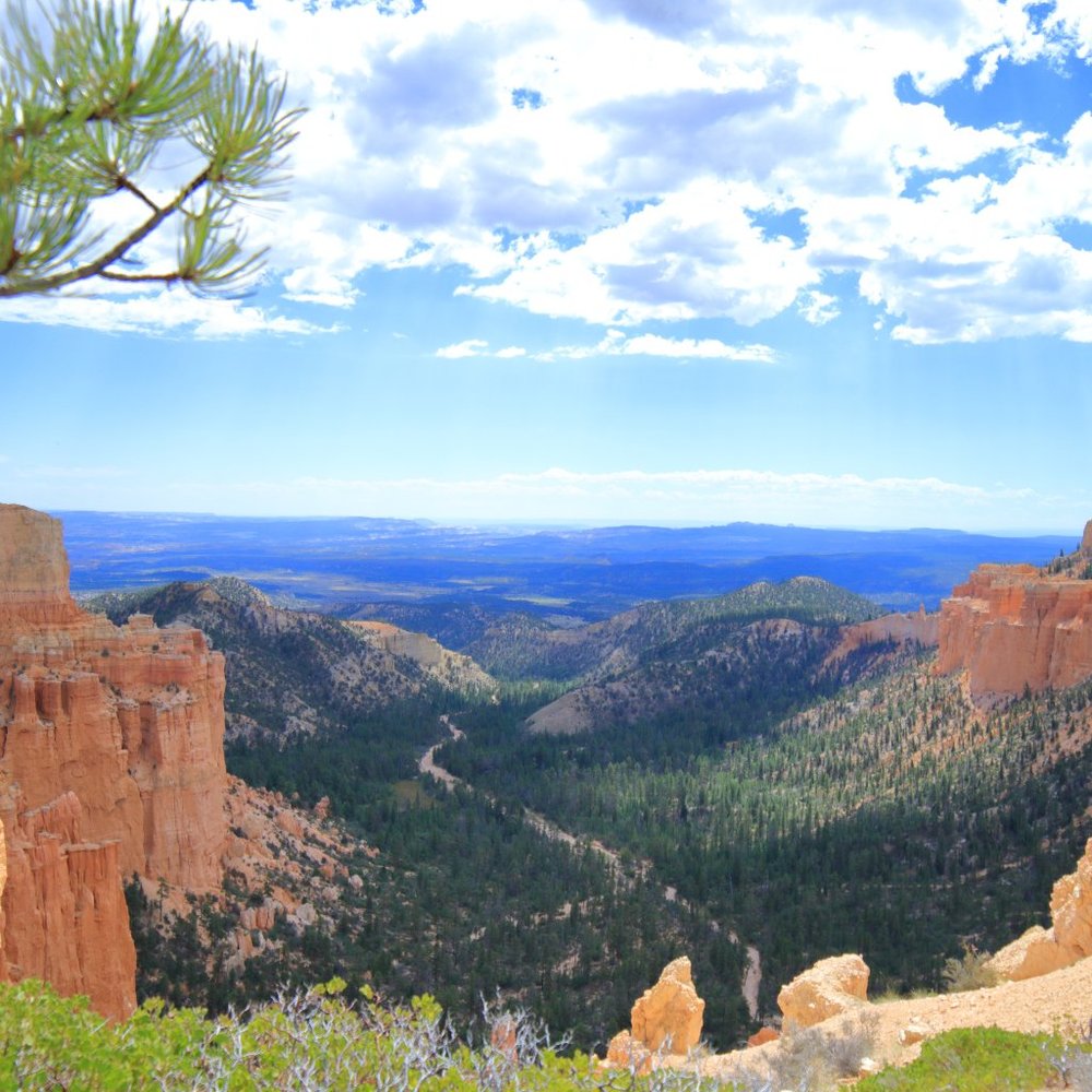 Meet your Posher, Pavel